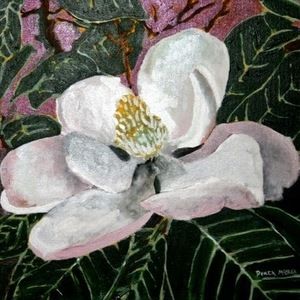 Meet your Posher, Audra